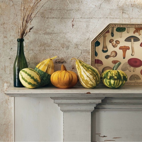 John Derian for Target - 5pc Pillow Set Assorted Fall Gourds - Picture 2 of 3